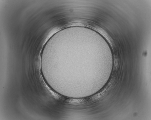 X0000097911290200804111102