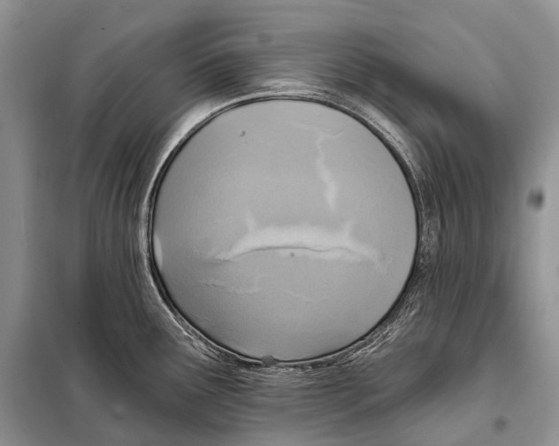 X0000097911291200804111102