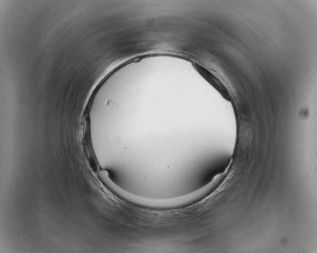 X0000097911292200804111102