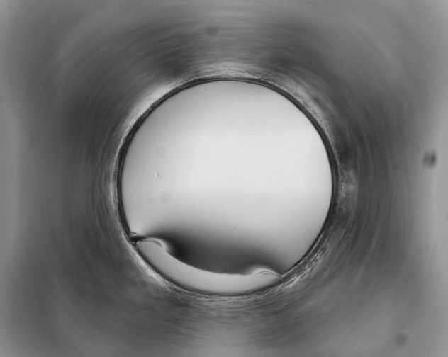 X0000097911293200804111102