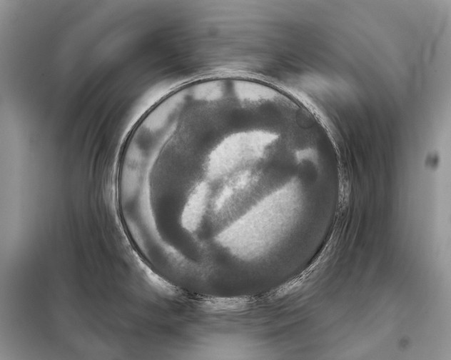 X0000097911294200804111102