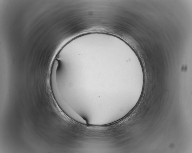 X0000097911296200804111102