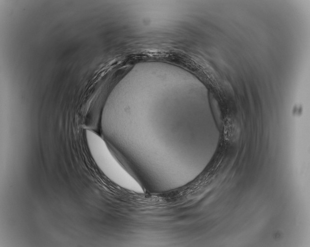 X0000097911298200804111101