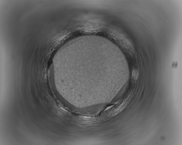 X0000097911300200804111101