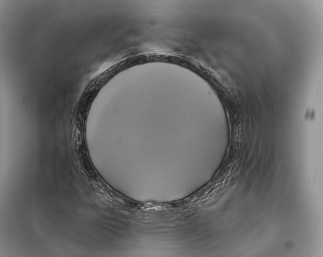 X0000097911303200804111101