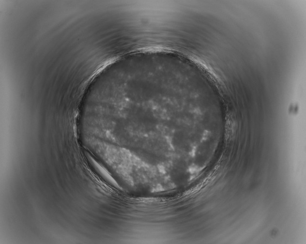 X0000097911305200804111101