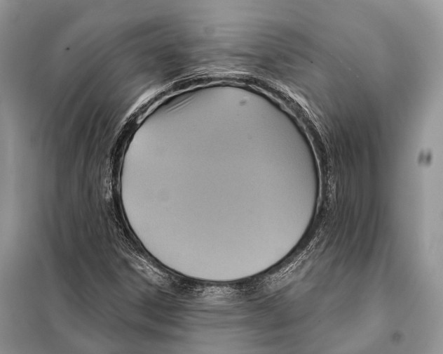 X0000097911306200804111101