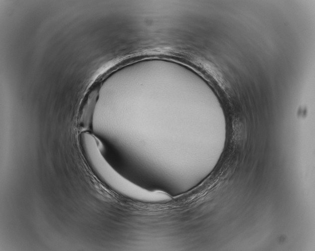 X0000097911308200804111101