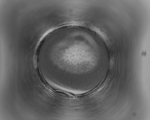 X0000097911310200804111101