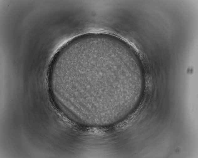 X0000097911311200804111101