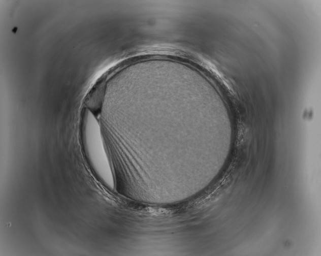 X0000097911312200804111101