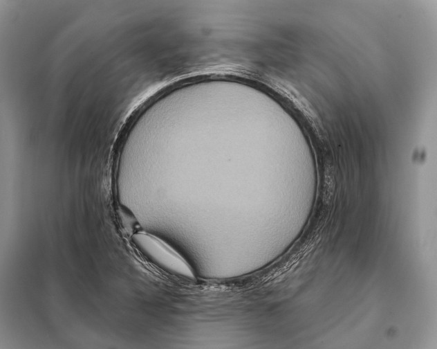 X0000097911316200804111101