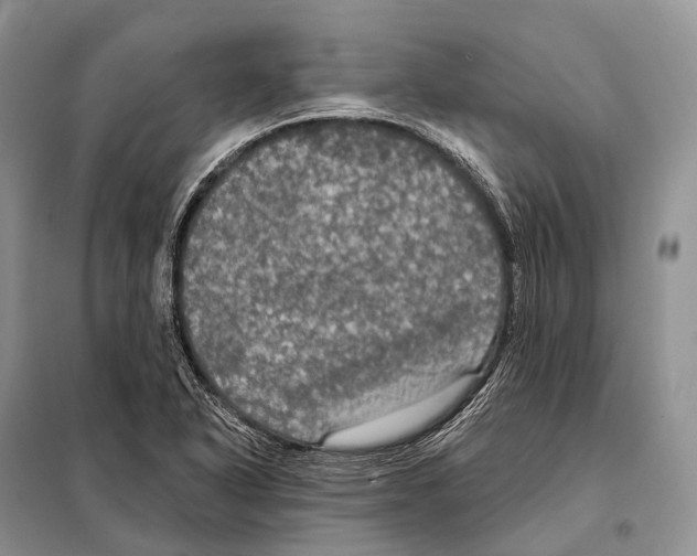 X0000097911318200804111101