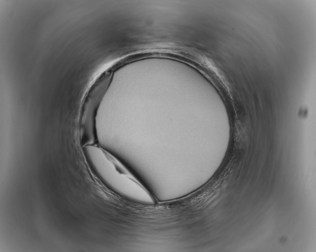 X0000097911320200804111101