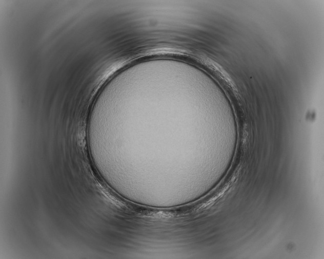 X0000097911321200804111102