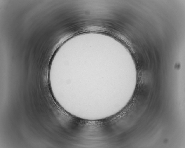 X0000097911322200804111102