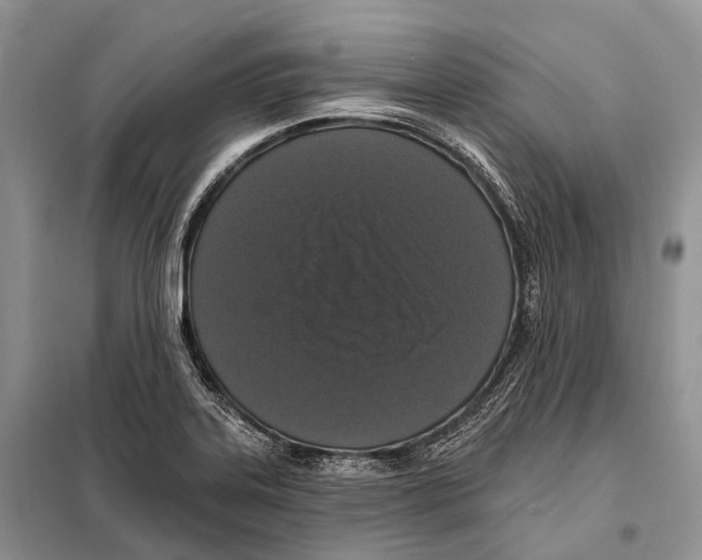 X0000097911323200804111102