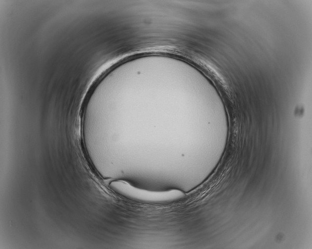 X0000097911324200804111102