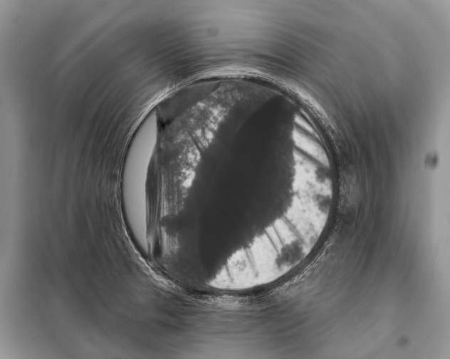 X0000097911329200804111102