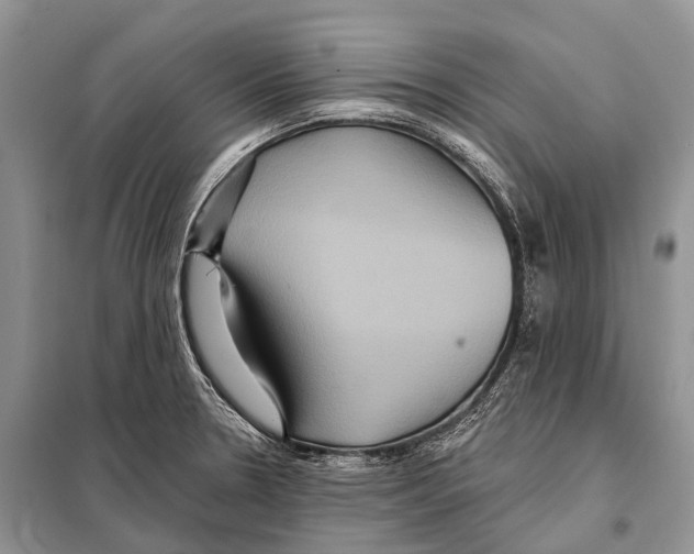 X0000097911330200804111102