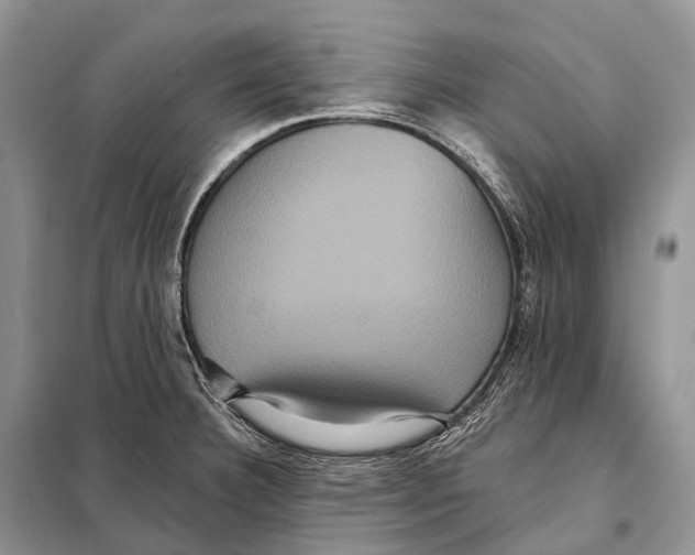 X0000097911332200804111102