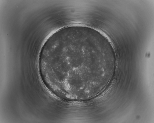 X0000097911333200804111102