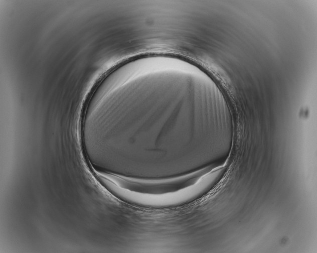 X0000097911334200804111102