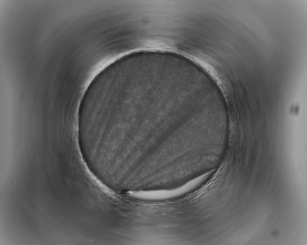 X0000097911335200804111102