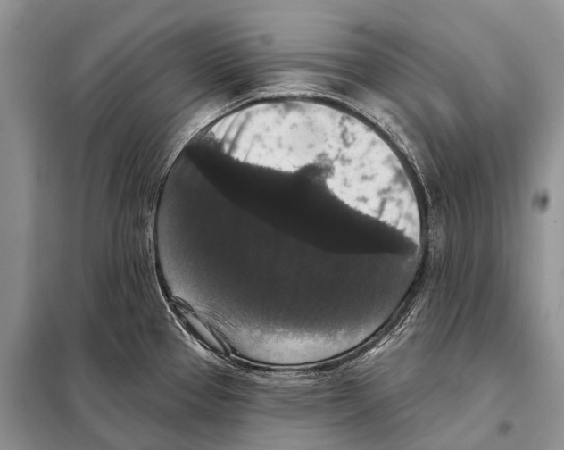 X0000097911337200804111102