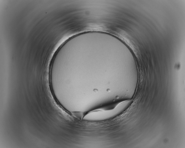 X0000097911339200804111102