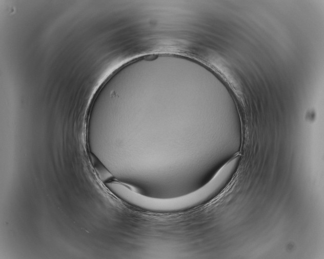 X0000097911340200804111102