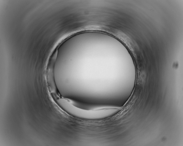 X0000097911342200804111102