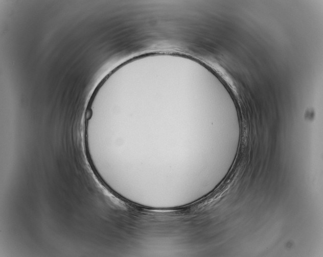 X0000097911343200804111102