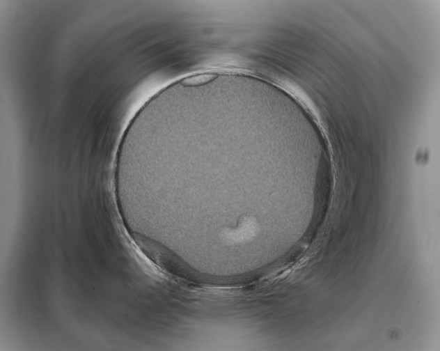 X0000097911344200804111102