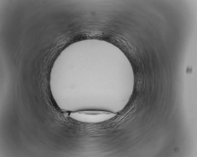 X0000097911345200804111101