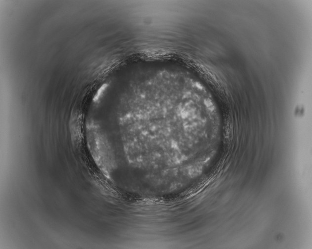 X0000097911346200804111101