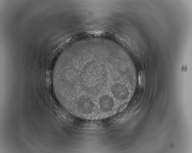 X0000097911347200804111101