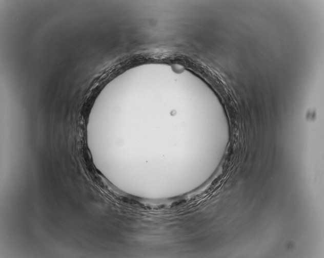 X0000097911349200804111101