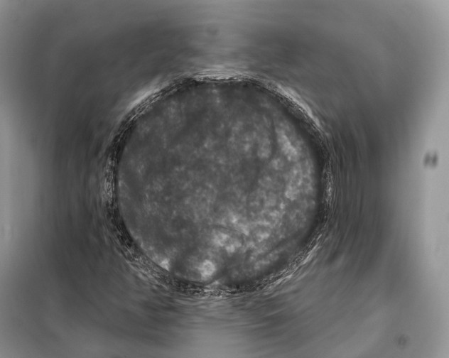 X0000097911350200804111101