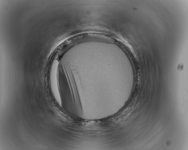 X0000097911352200804111101