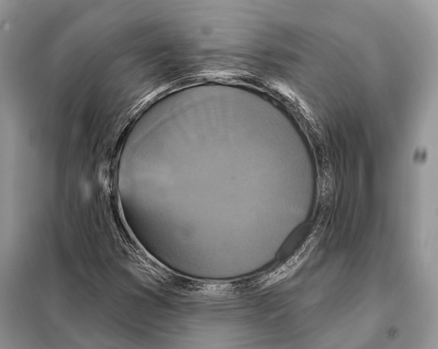 X0000097911353200804111101