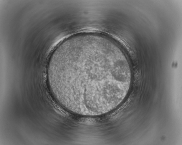 X0000097911355200804111101