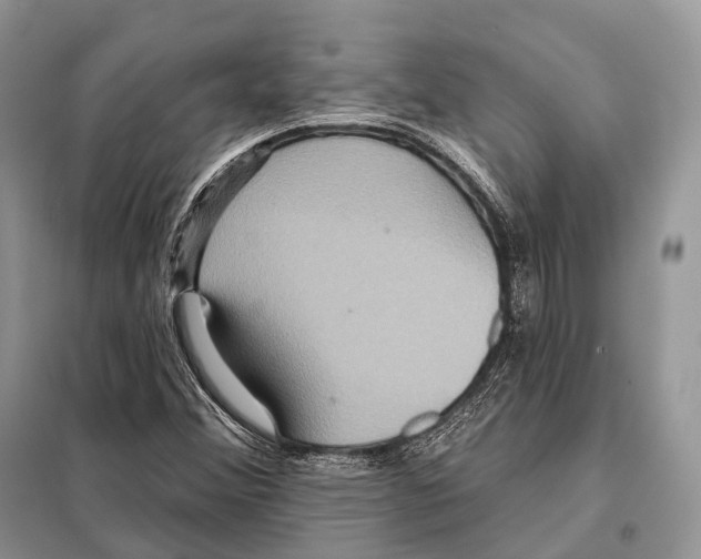 X0000097911356200804111101