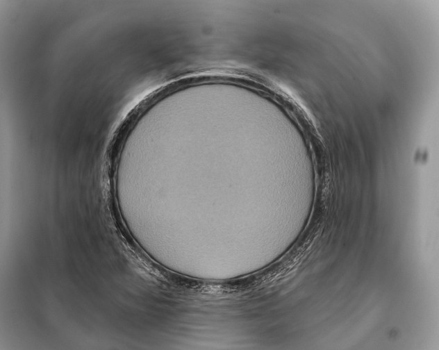 X0000097911360200804111101