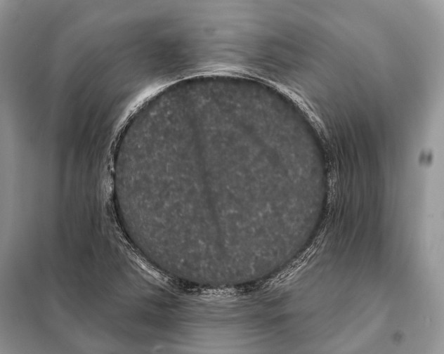 X0000097911363200804111101