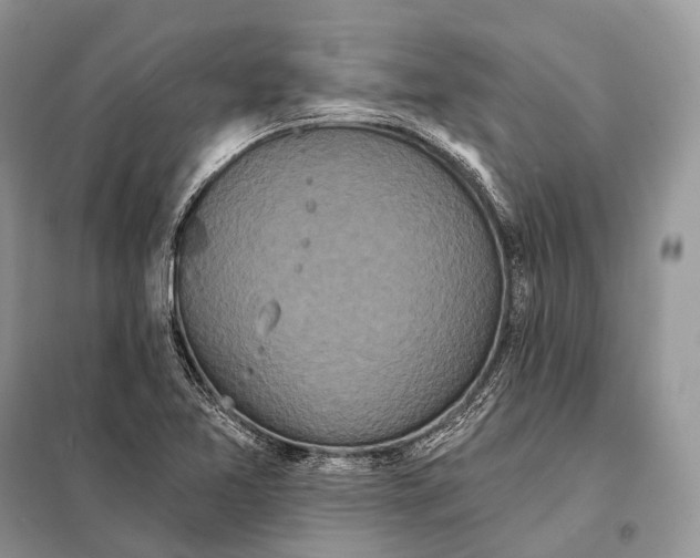 X0000097911365200804111101