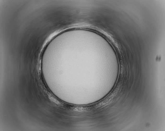 X0000097911366200804111101