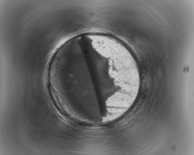 X0000097911367200804111101