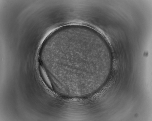 X0000097911368200804111101