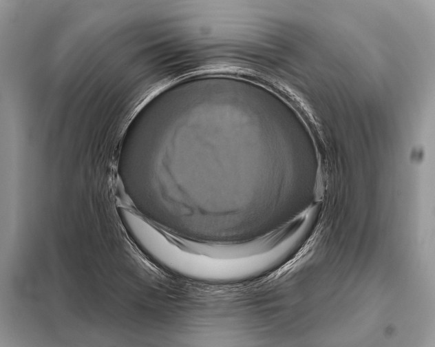 X0000097911369200804111101